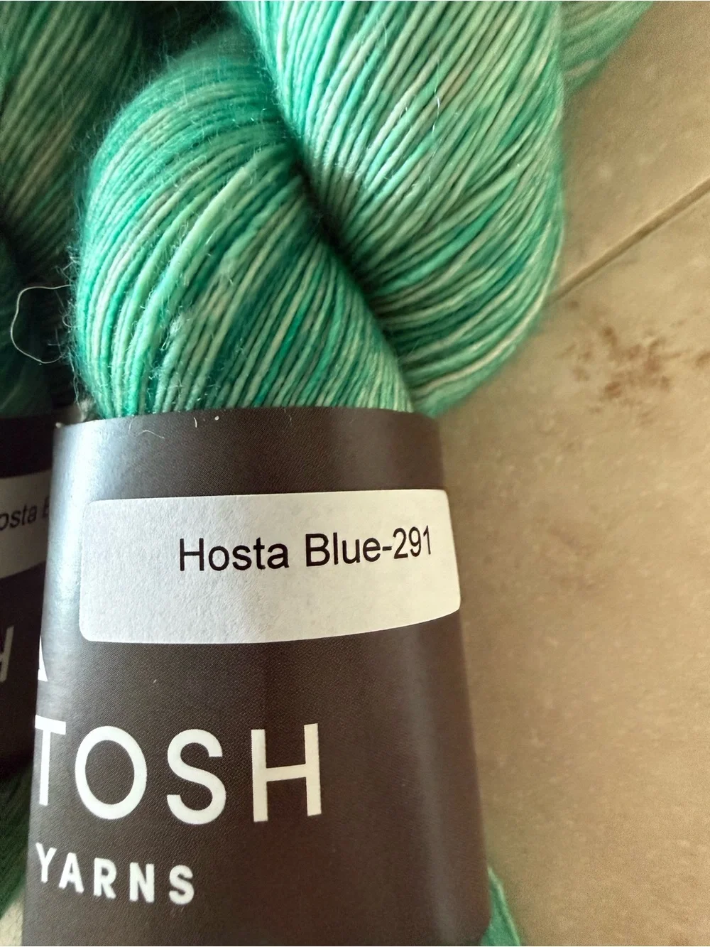 Madelinetosh Hand Dyed Yarn in Teal Green - Hosta Blue